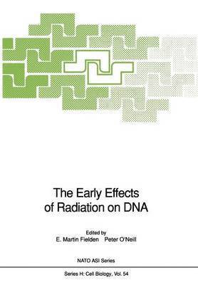 The Early Effects of Radiation on DNA 1
