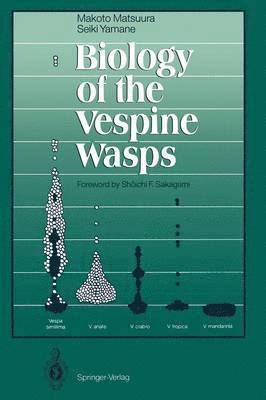 bokomslag Biology of the Vespine Wasps