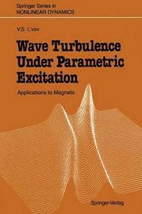 bokomslag Wave Turbulence Under Parametric Excitation