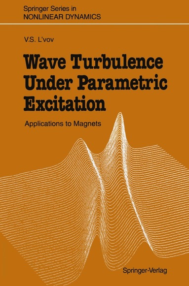 bokomslag Wave Turbulence Under Parametric Excitation