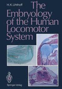 bokomslag The Embryology of the Human Locomotor System