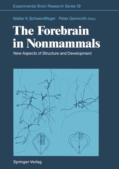 Walter K. Schwerdtfeger, Peter Germroth - Forebrain in Nonmammals, Häftad