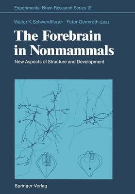 bokomslag The Forebrain in Nonmammals