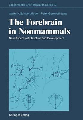 Forebrain in Nonmammals