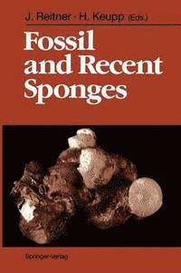 bokomslag Fossil and Recent Sponges