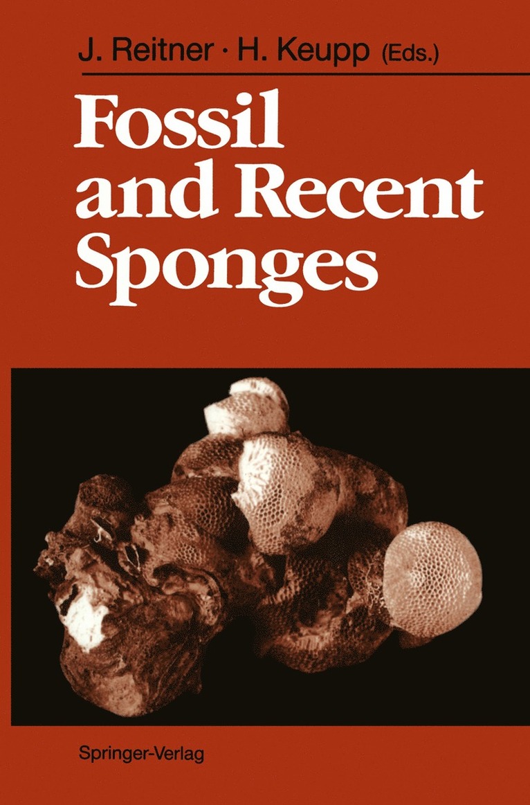 Joachim Reitner, Helmut Keupp - Fossil and Recent Sponges, Häftad