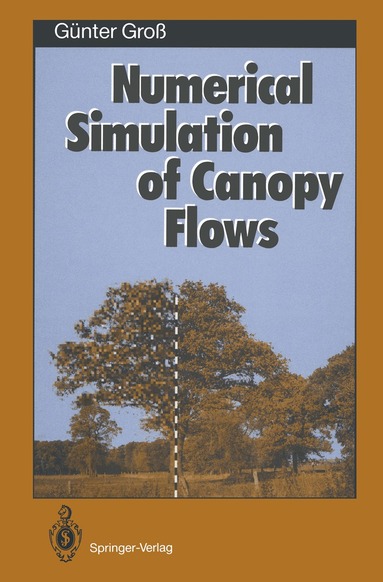 Günter Groß - Numerical Simulation of Canopy Flows, Häftad