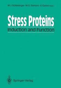 bokomslag Stress Proteins