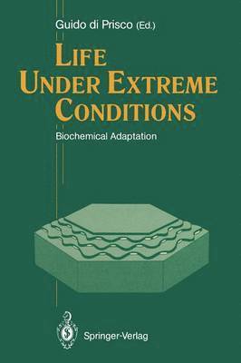 Life Under Extreme Conditions 1