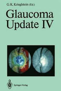 bokomslag Glaucoma Update IV