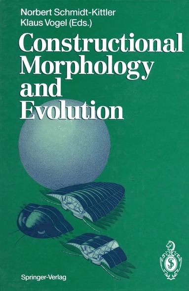 bokomslag Constructional Morphology and Evolution