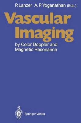 Peter Lanzer, Ajit P. Yoganathan - Vascular Imaging by Color Doppler and Magnetic Resonance, Häftad