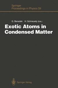 bokomslag Exotic Atoms in Condensed Matter