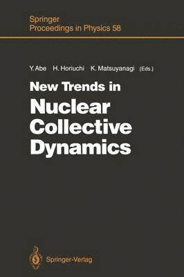 Yasuhisa Abe, Hisashi Horiuchi, Kenichi Matsuyanagi - New Trends in Nuclear Collective Dynamics, Häftad
