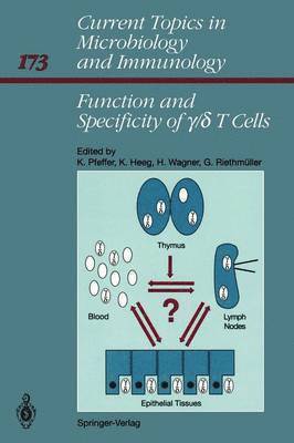 Function and Specificity of / T Cells 1