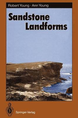 bokomslag Sandstone Landforms