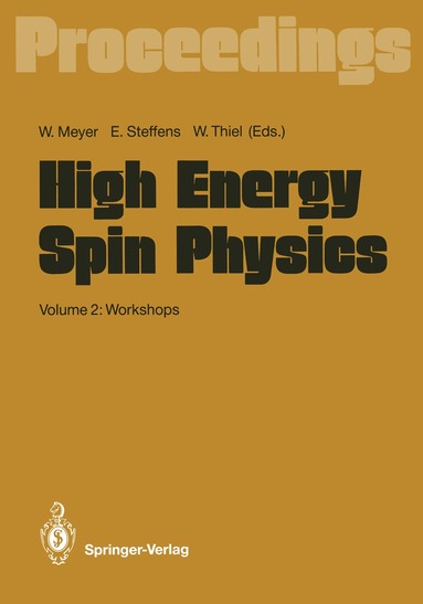 Werner Meyer, Erhard Steffens, Werner Thiel - High Energy Spin Physics, Häftad