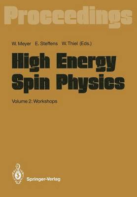 bokomslag High Energy Spin Physics