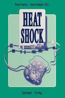 Bruno Maresca, Susan Lindquist - Heat Shock, Häftad