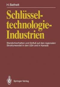bokomslag Schlsseltechnologie-Industrien