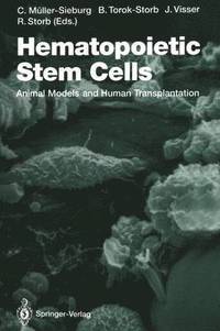 bokomslag Hematopoietic Stem Cells