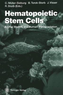 Hematopoietic Stem Cells 1