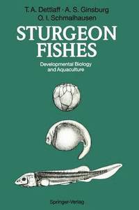 bokomslag Sturgeon Fishes