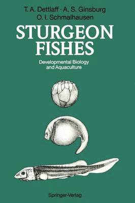 Tatiana A. Dettlaff, Anna S. Ginsburg, Olga I. Schmalhausen - Sturgeon Fishes, Häftad