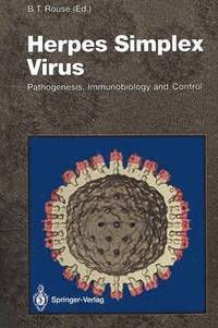 bokomslag Herpes Simplex Virus