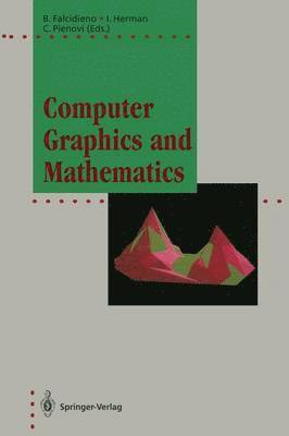 bokomslag Computer Graphics and Mathematics