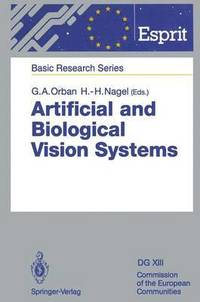 bokomslag Artificial and Biological Vision Systems