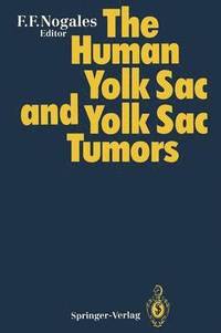 bokomslag The Human Yolk Sac and Yolk Sac Tumors