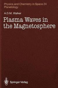 bokomslag Plasma Waves in the Magnetosphere