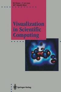 bokomslag Visualization in Scientific Computing