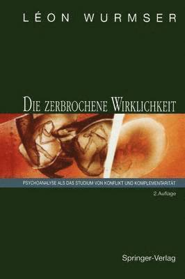 Die zerbrochene Wirklichkeit 1