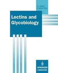 bokomslag Lectins and Glycobiology