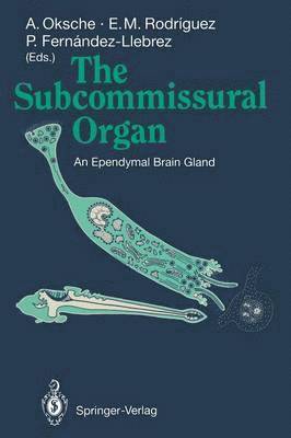 bokomslag Subcommissural Organ