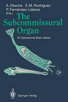 The Subcommissural Organ 1