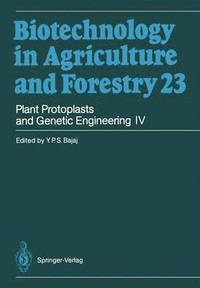 bokomslag Plant Protoplasts and Genetic Engineering IV