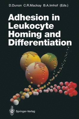 Dominique Dunon, Charles R. Mackay, Beat A. Imhof, Charles R. MacKay, Charles Mackay - Adhesion in Leukocyte Homing and Differentiation, Häftad