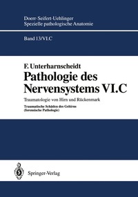 bokomslag Pathologie des Nervensystems VI.C