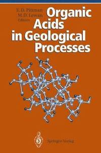 bokomslag Organic Acids in Geological Processes