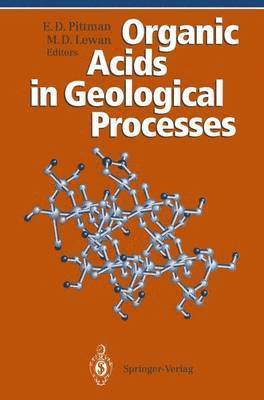 bokomslag Organic Acids in Geological Processes