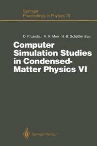 bokomslag Computer Simulation Studies in Condensed-Matter Physics VI