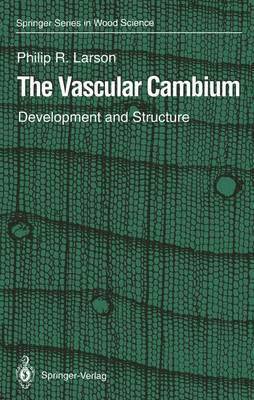 The Vascular Cambium 1