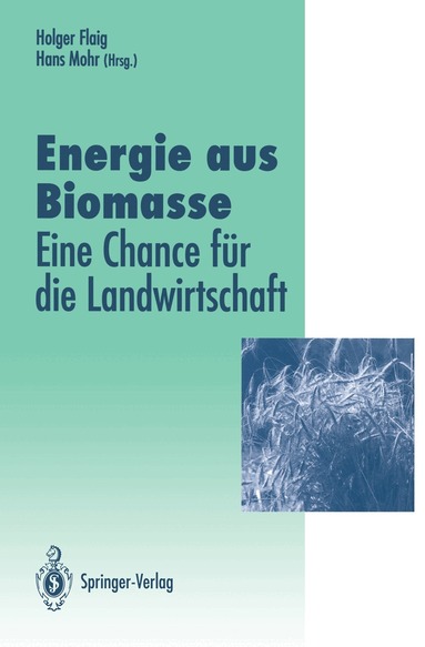 Holger Flaig, Hans Mohr - Energie aus Biomasse, Häftad
