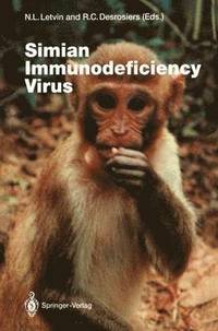 bokomslag Simian Immunodeficiency Virus