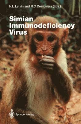 Simian Immunodeficiency Virus 1