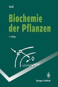 bokomslag Biochemie der Pflanzen