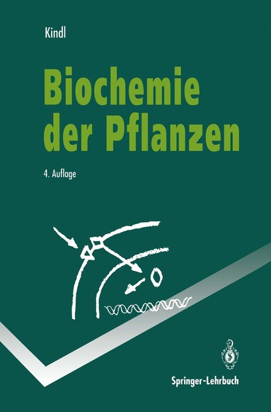 bokomslag Biochemie der Pflanzen